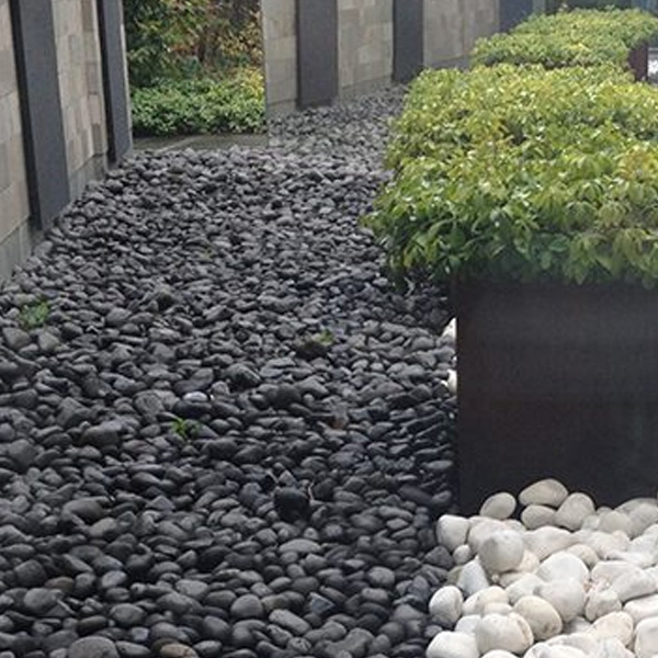 ciottolo-nero-ebano-5 ciottolo nero Ebano Rota Commerciale