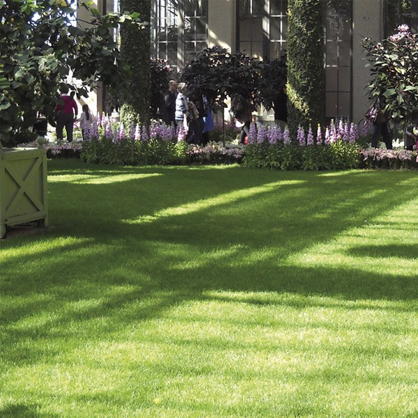 erba-sintetica-3 erba sintetica - giardinaggio- Rota Commerciale