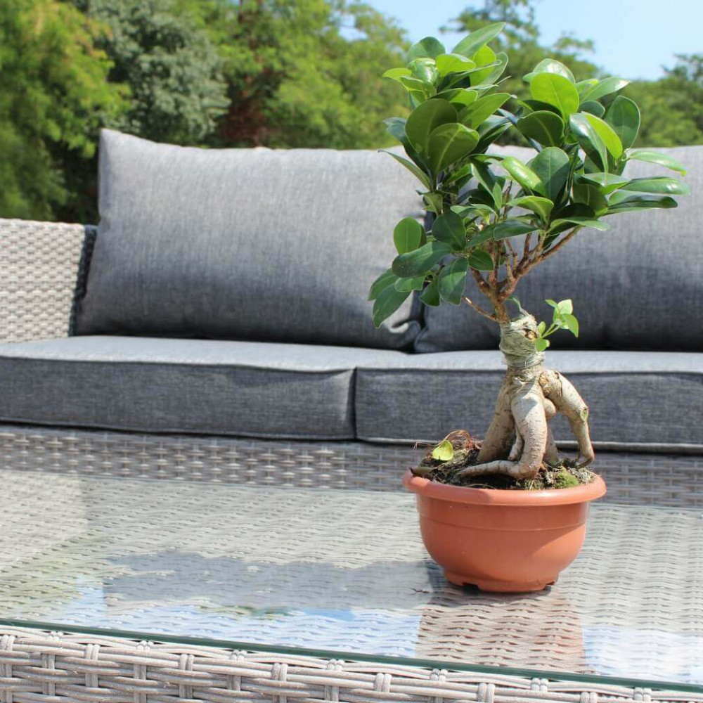 SALOTTO IAGO3 P C/CUSCINI salotto in polyrattan da esterno, salotto in wicker da esterno, salotto da esterno, salotto in wicker, salotto in polyrattan, arredo giardino, arredo giardino Bergamo, giardinaggio Bergamo, giardinaggio, Rota Commerciale Bergamo