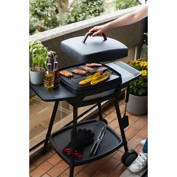 bbq-alexia.jpg-2 barbecue elettrico alexia 5111 Barbecook, barbecue elettrici, grill elettrico, grill elettrici, bbq elettrico, barbecue Bergamo, giardinaggio Bergamo, arredo giardino, Bergamo, Rota commerciale Bergamo, barbecue senza fumo, bbq no fumo.